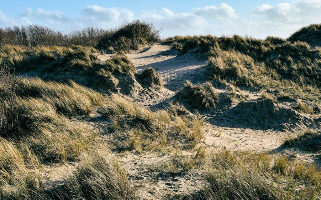 dune, sand, grass