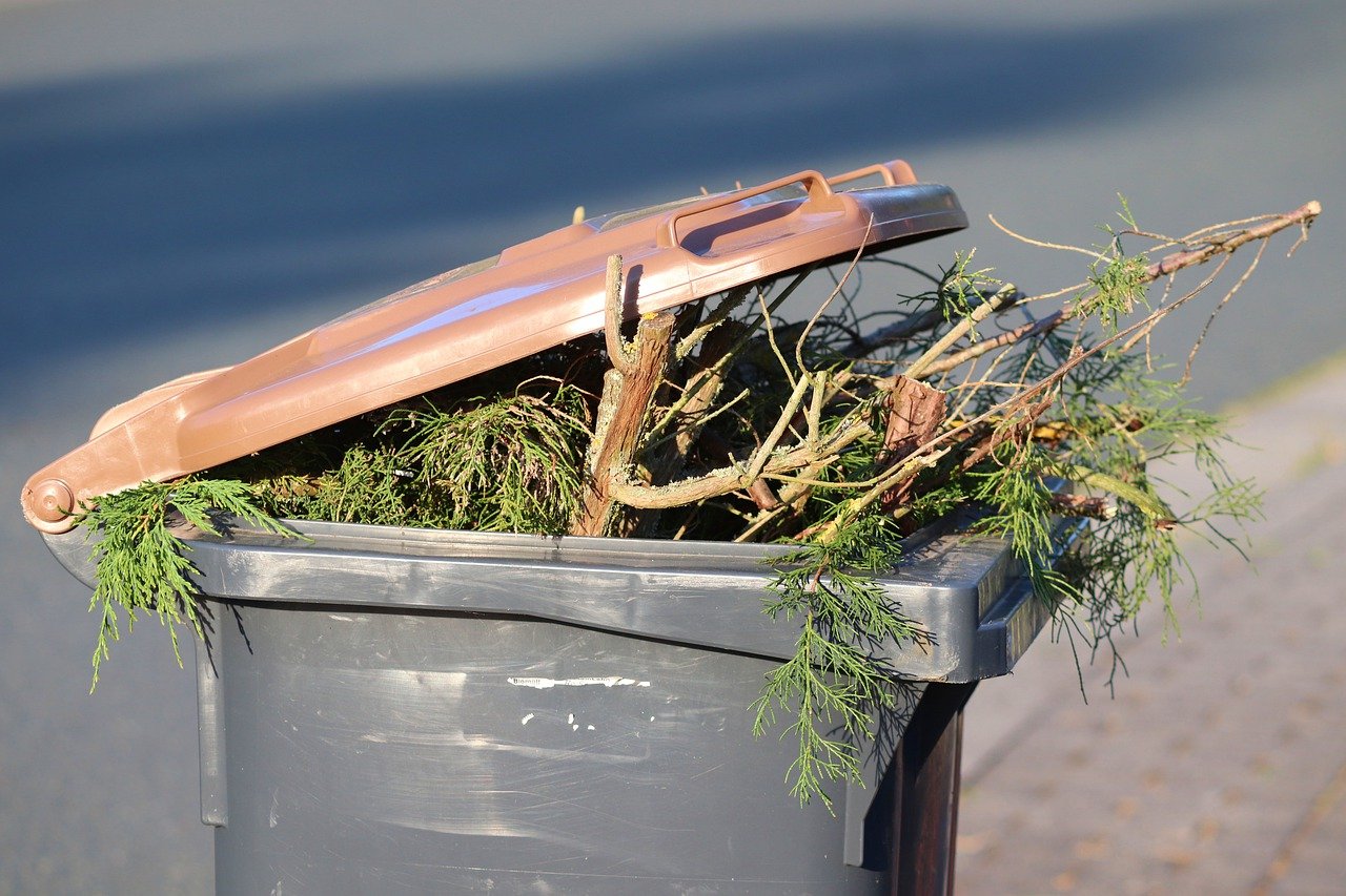 dustbin, green cut, brown ton